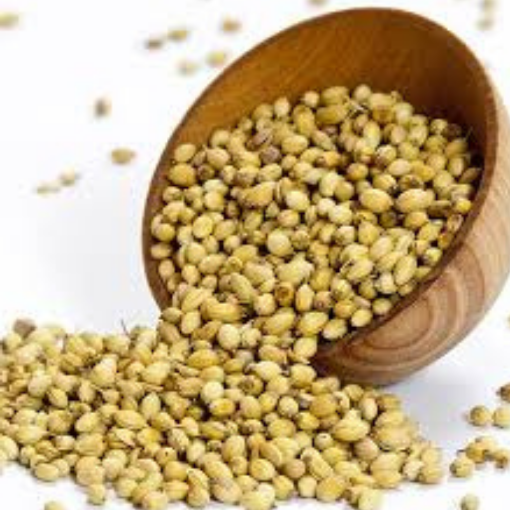 Coriander Product Image