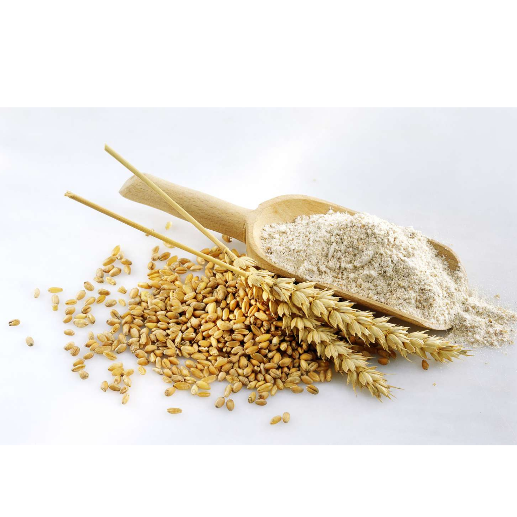 Premium Quality Wheat
